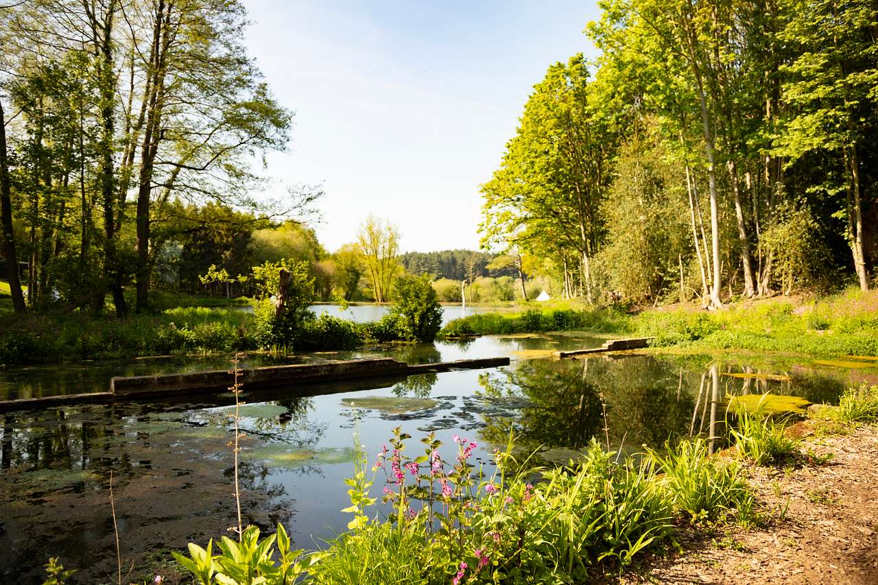 North Norfolk Camping & Glamping