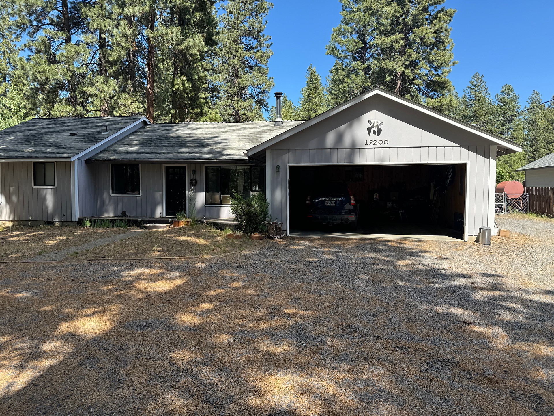 Ponderosa Pine Sanctuary