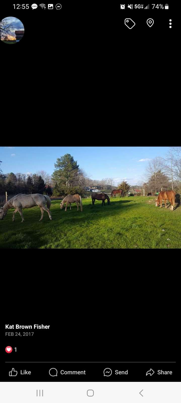 Shadowood Acres