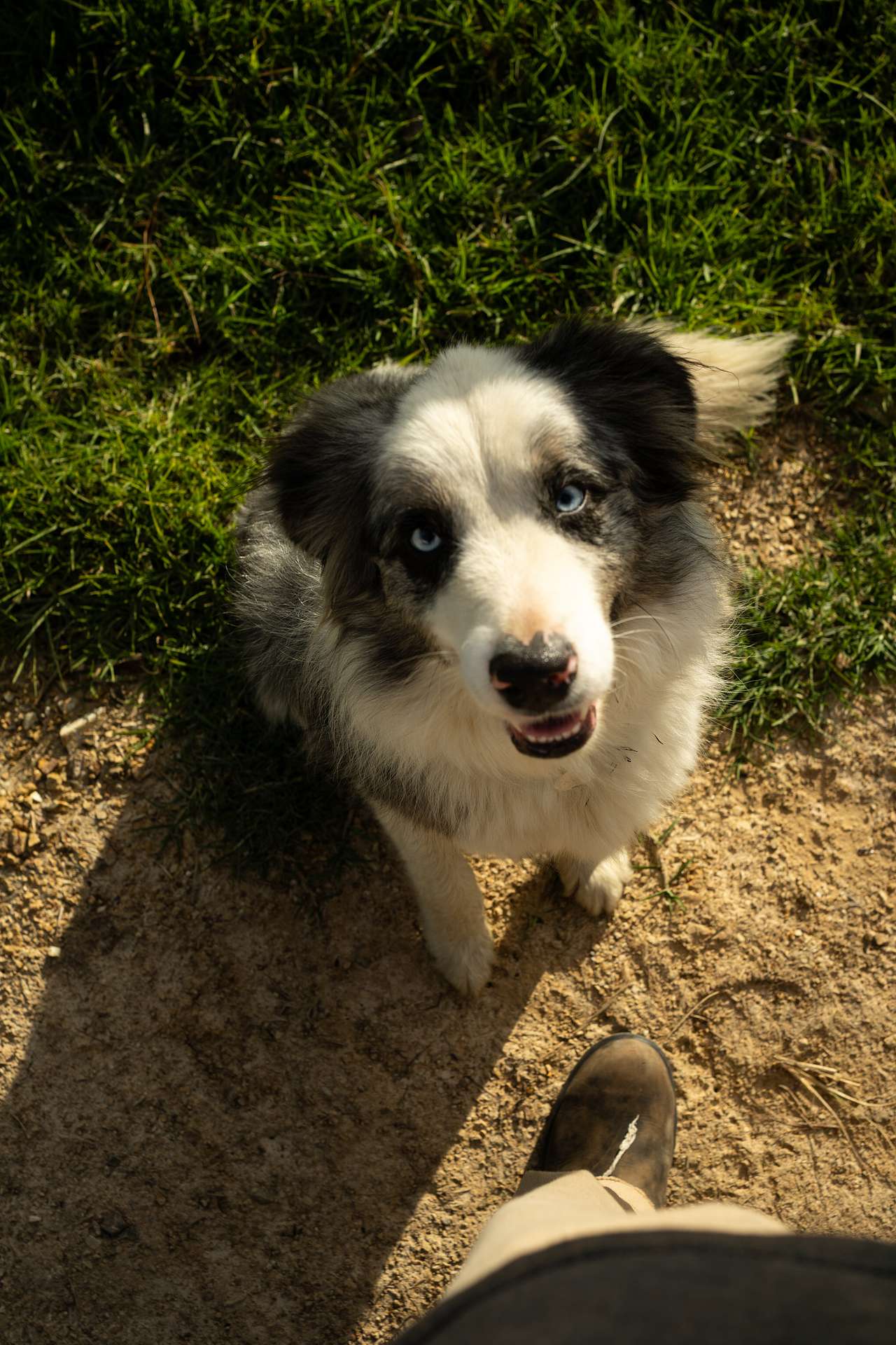 Those eyes!