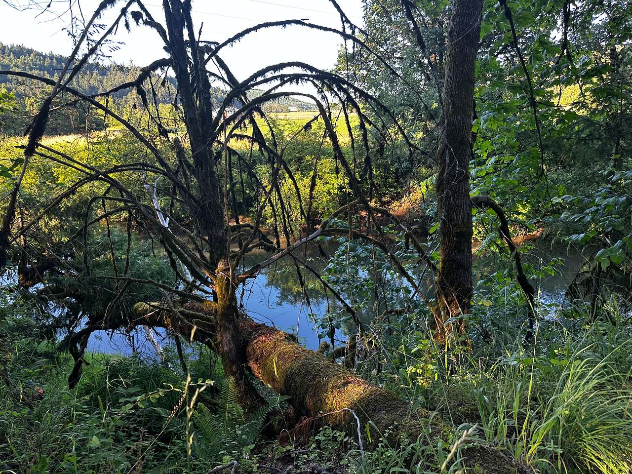 This is the view of the river across from your camp site.  You can pull up your camp chair and enjoy the view