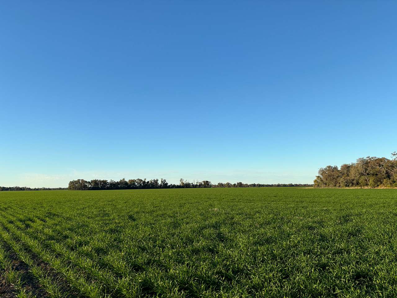 Tarrawingee Farm - Curated Gardens