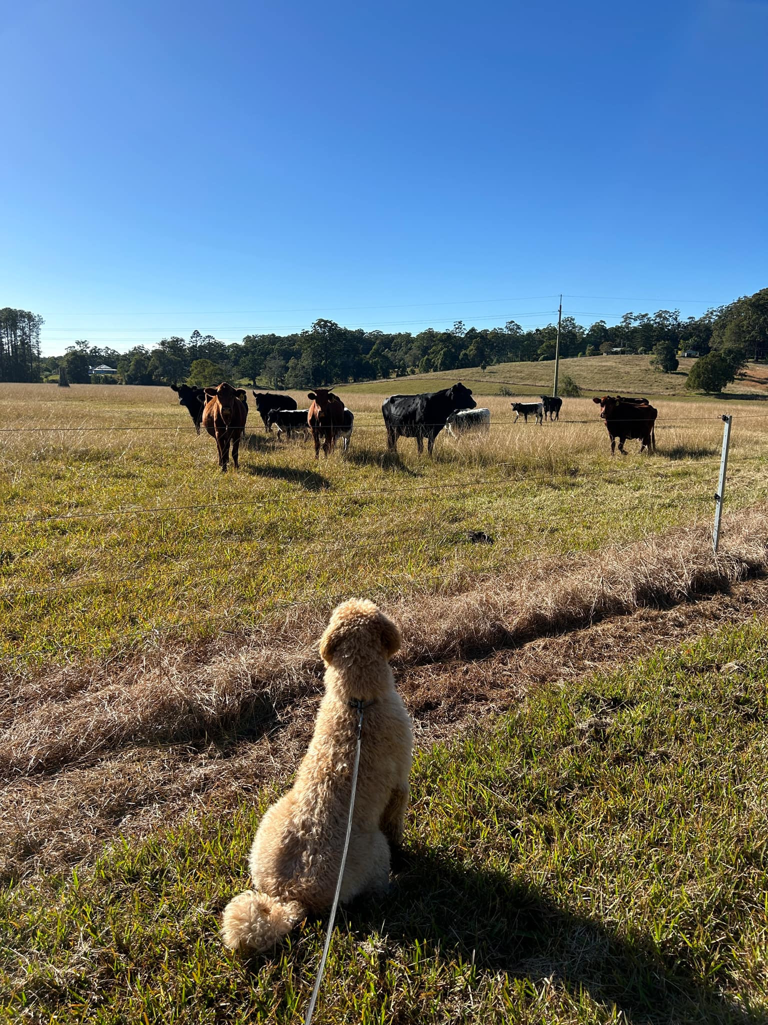 Bonville Camp Ground