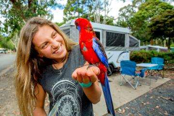 Yarra Valley Park Lane Holiday Park