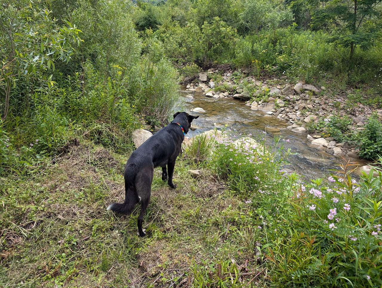 Happy Trails Landing