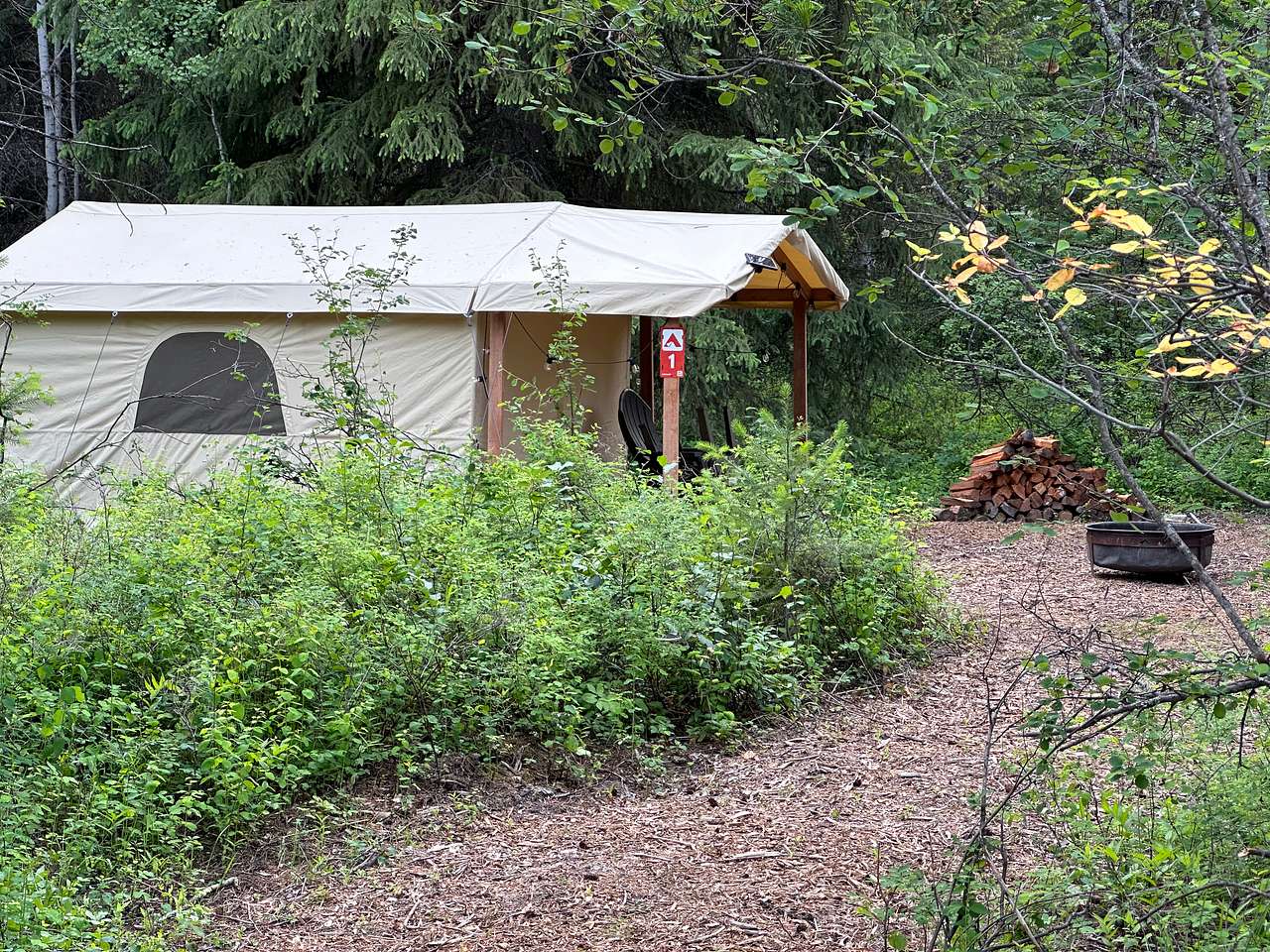 Camp Lazy Bear