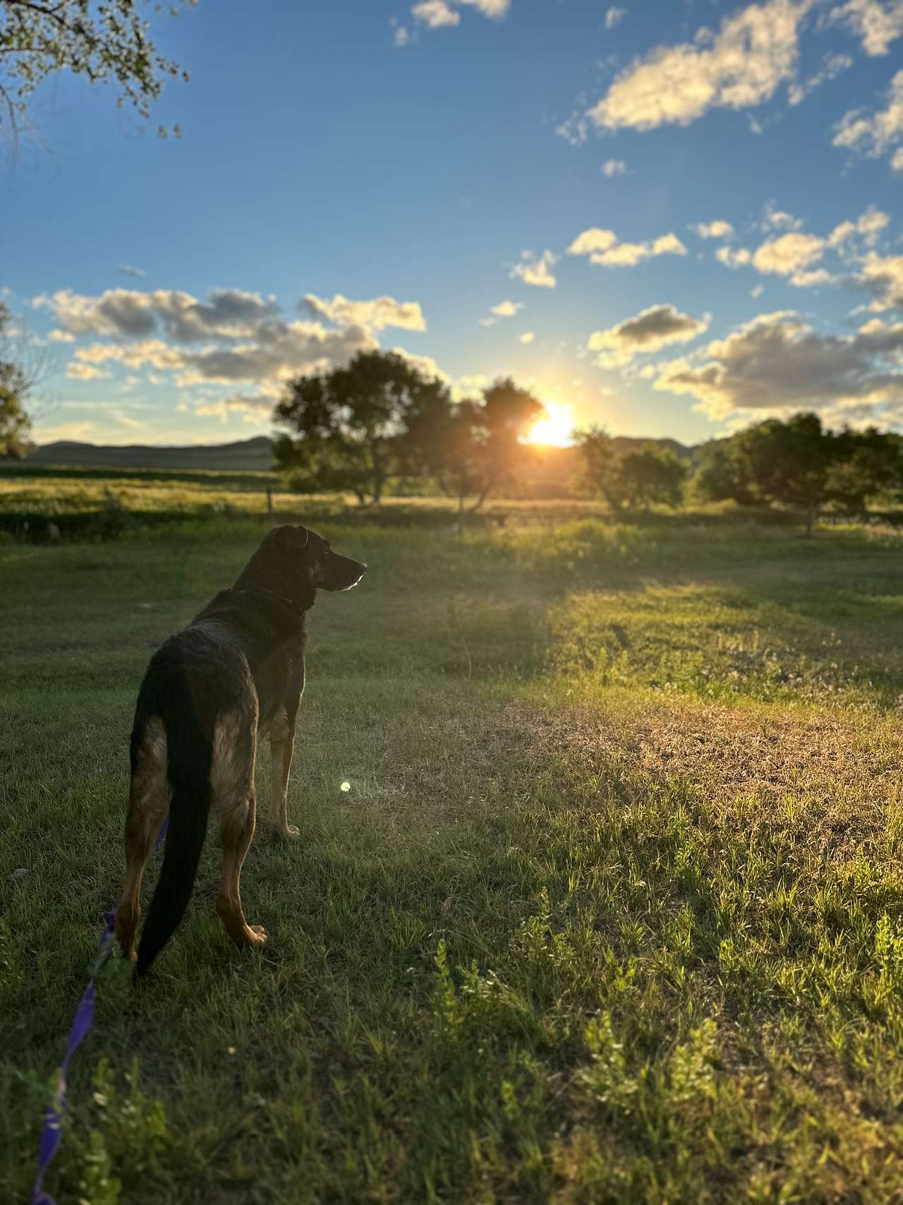 Cross E Ranch Camping