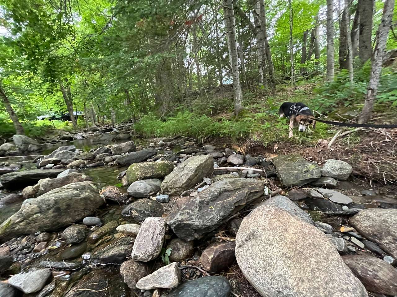 Camp Ebb and Flow