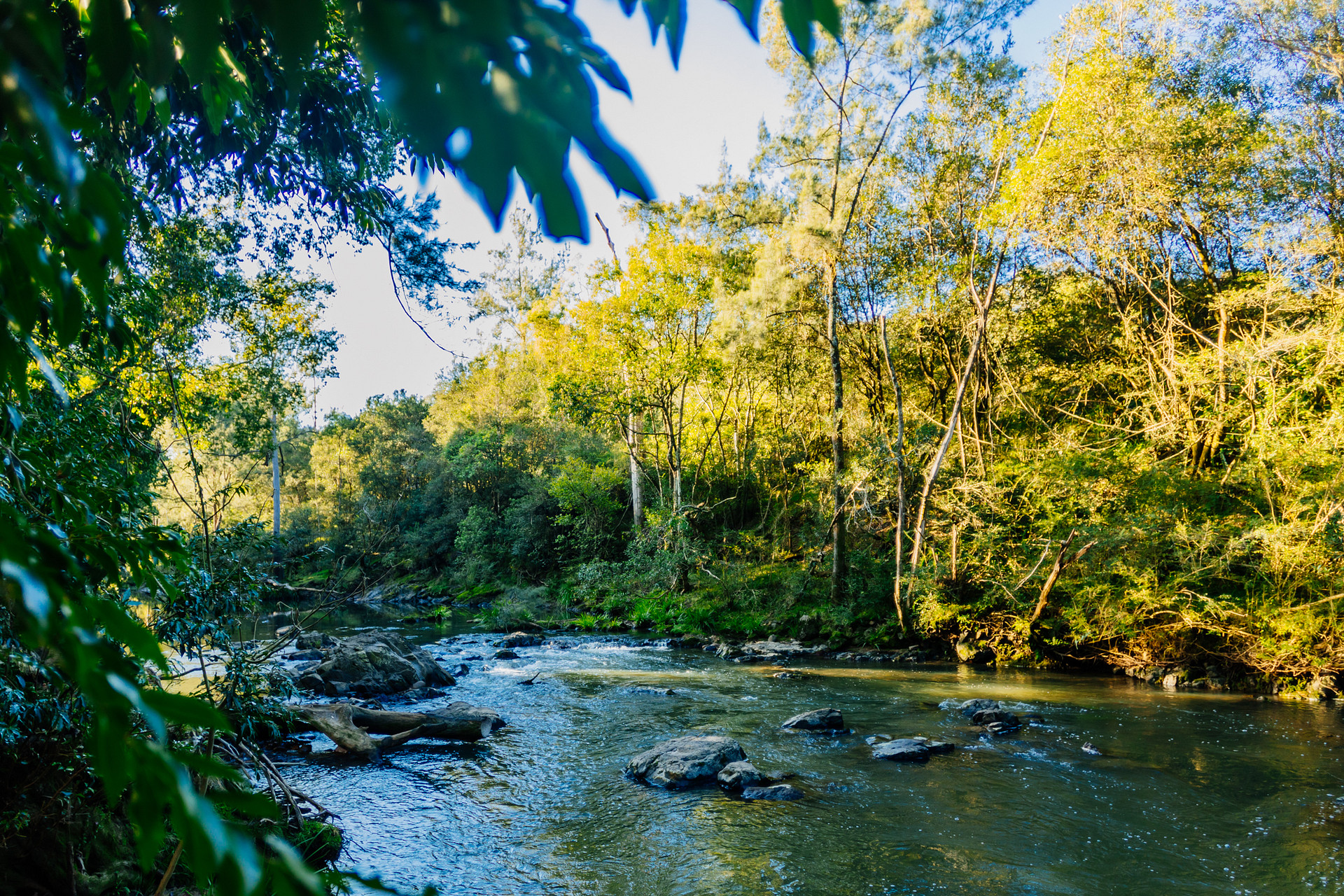 Karuah river at the Rapids site
