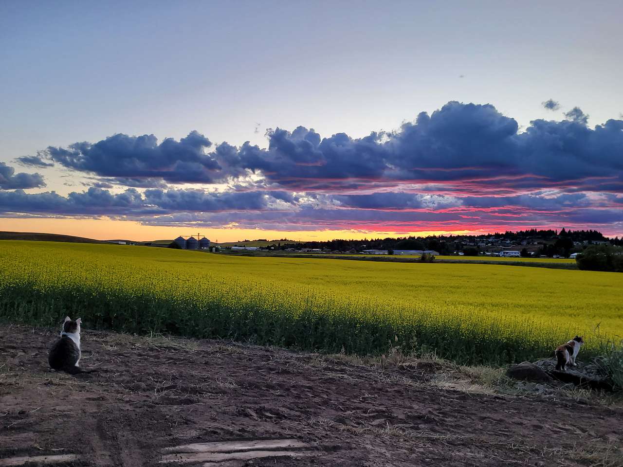 Convenient Palouse Paradise