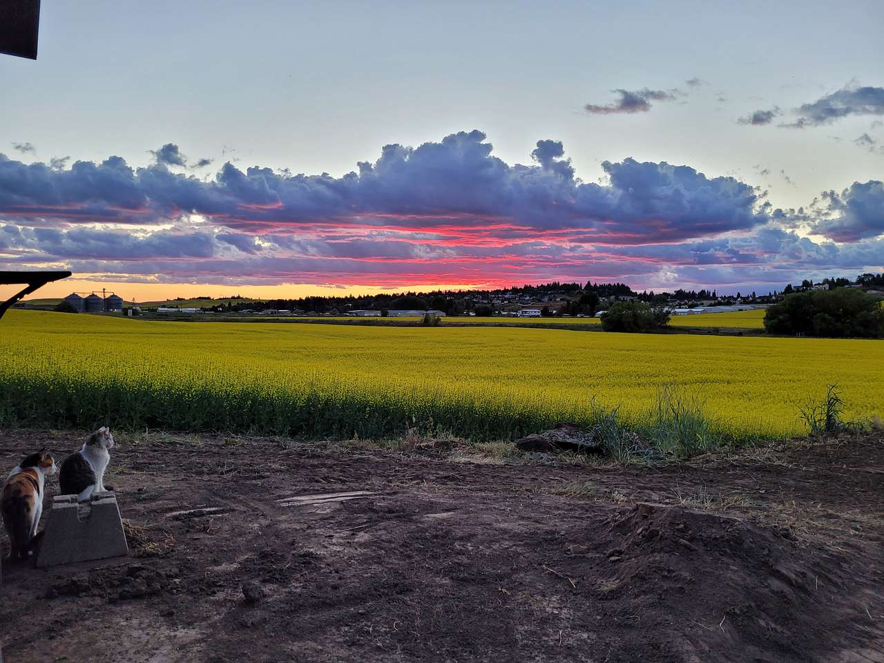 Convenient Palouse Paradise