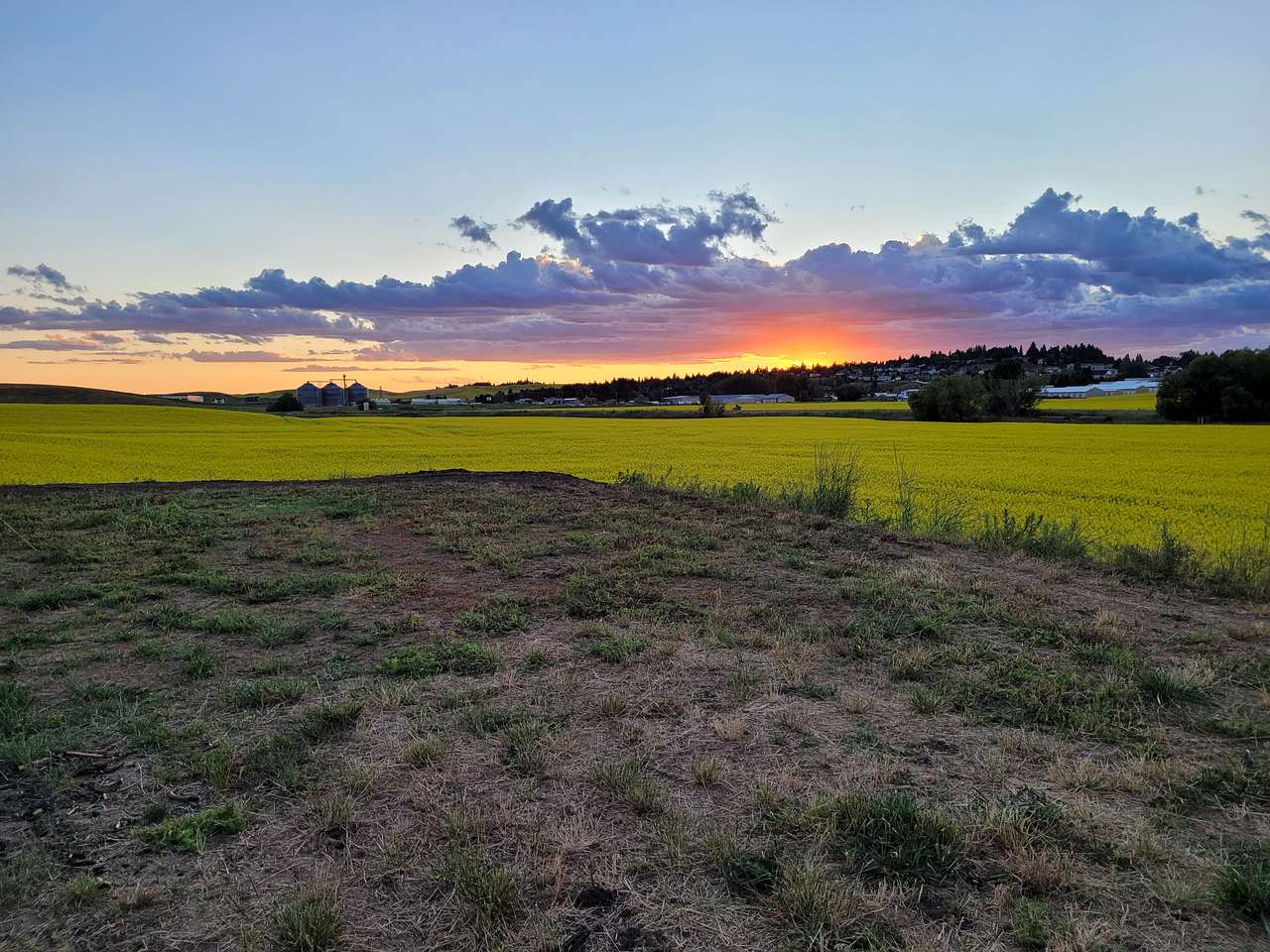 Convenient Palouse Paradise