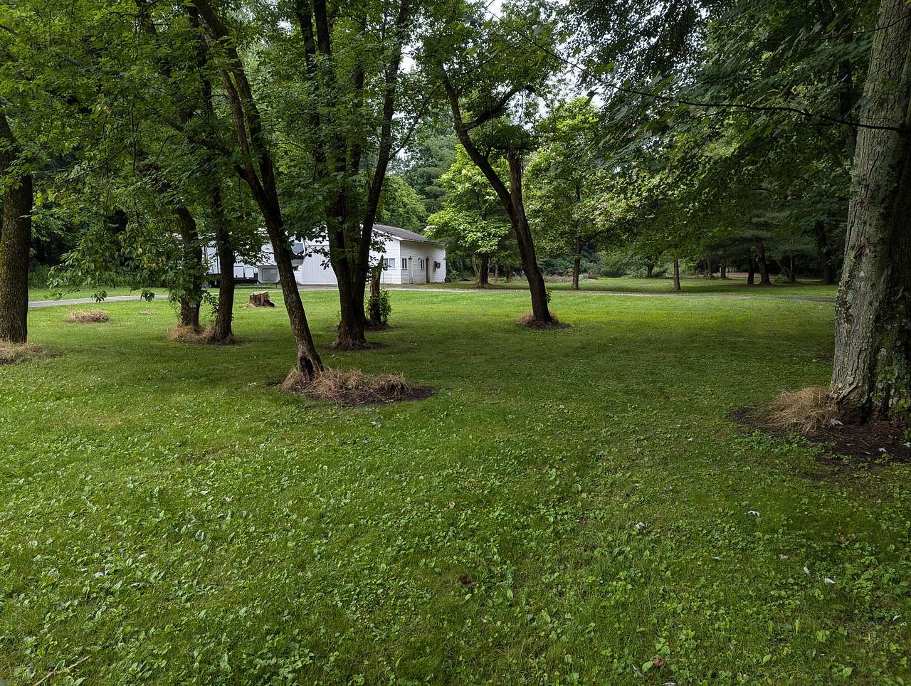 Footsteps From Frankenmuth