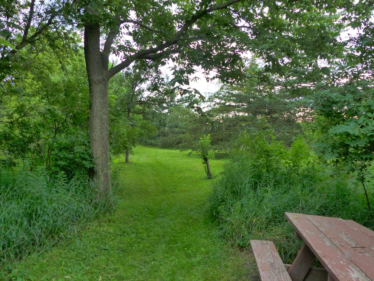 Ramsey Creek Natural Area