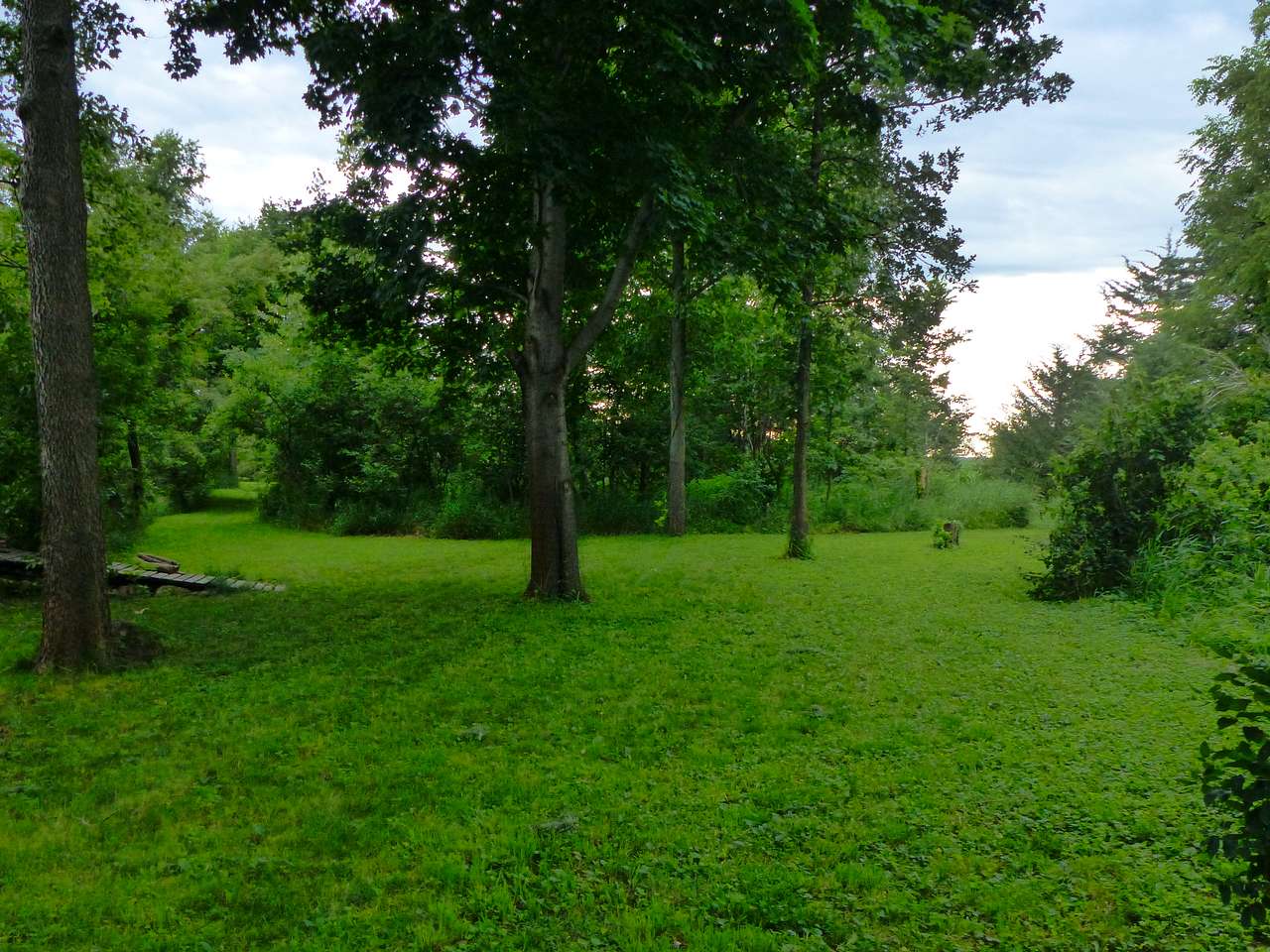 Ramsey Creek Natural Area