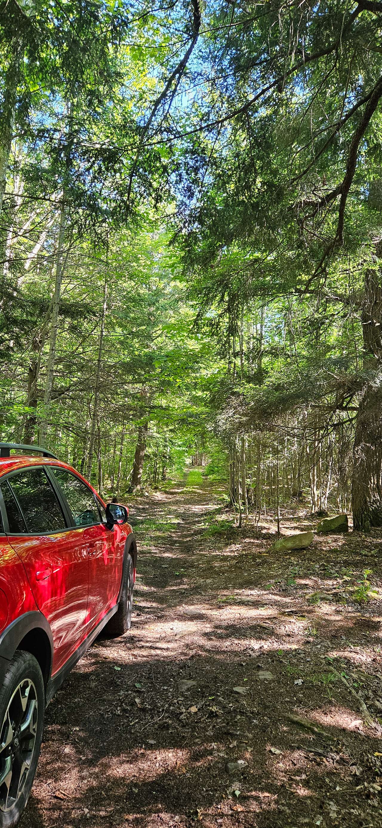 Wilderness Haven near Marquette Mi