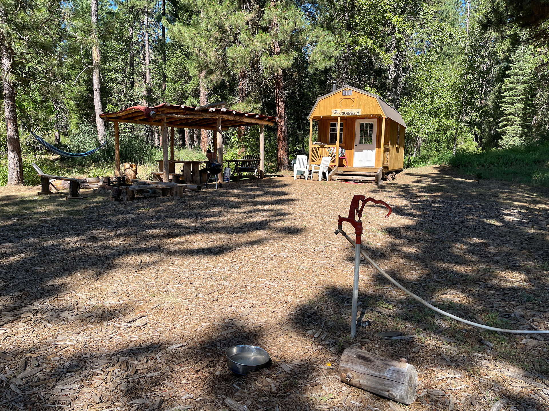 Wild Plumas California