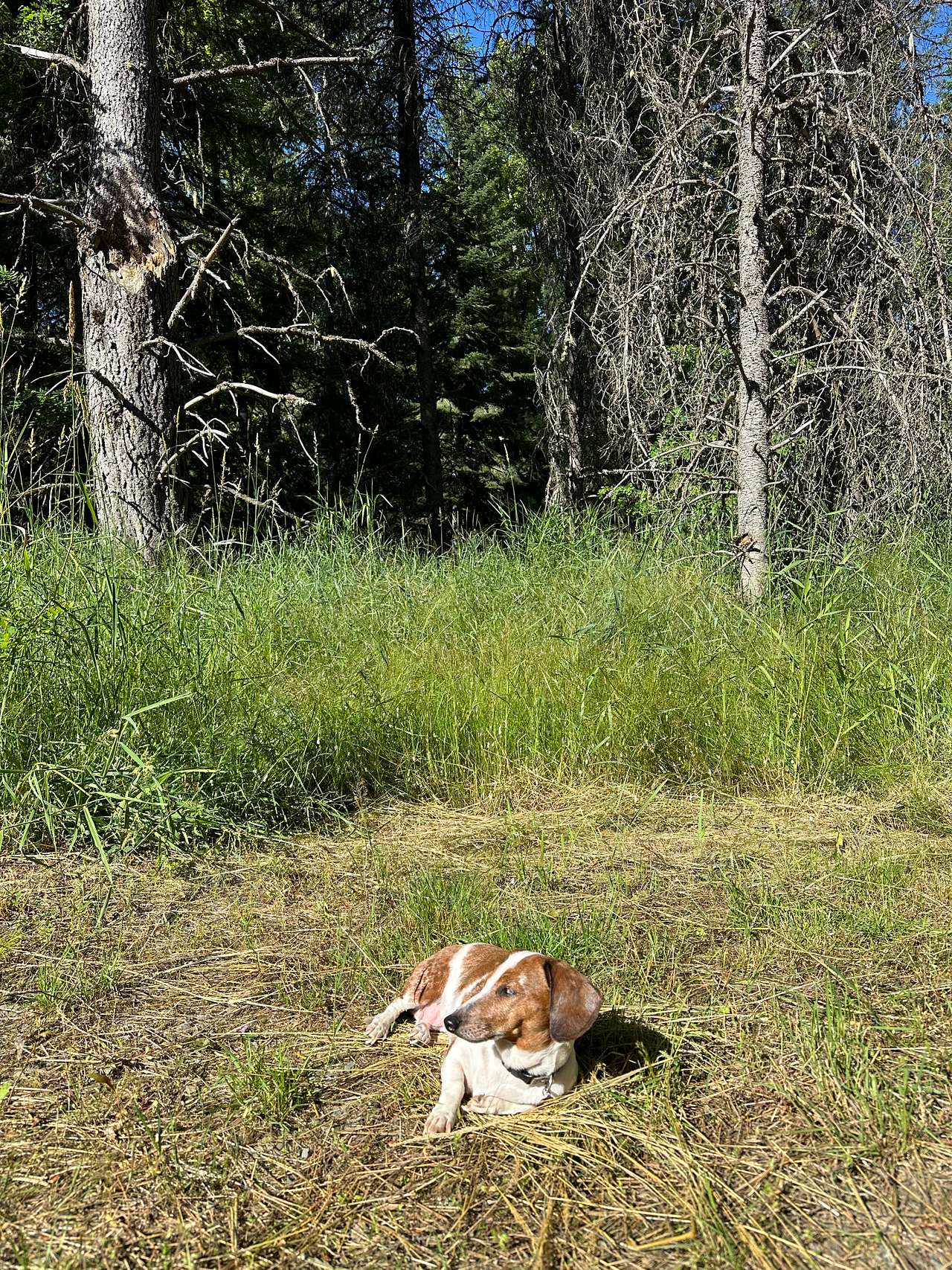 South Mission Cataldo Campground