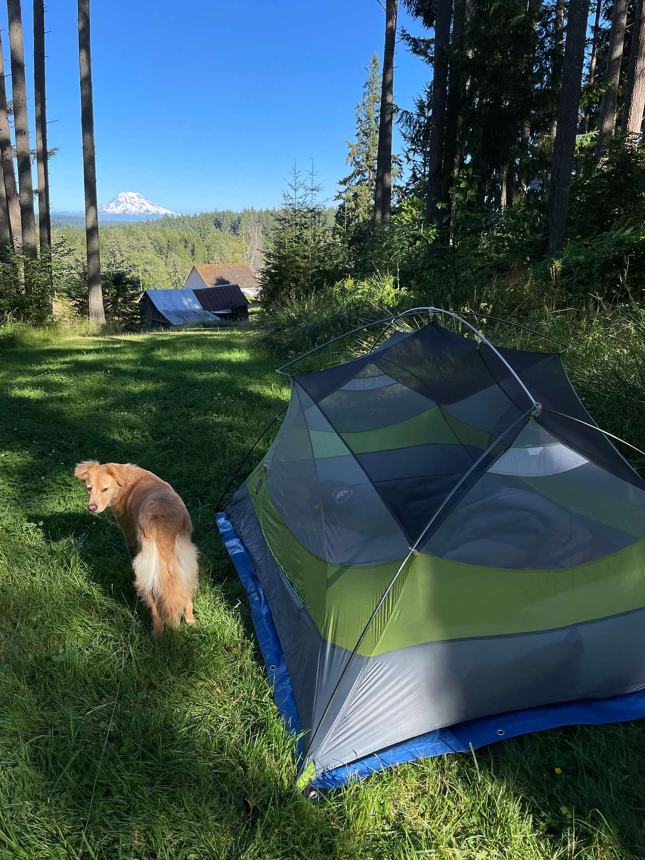 Madrona Meadow Camp