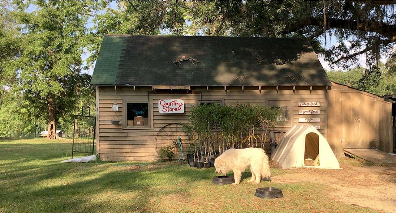 Golden Acres Ranch