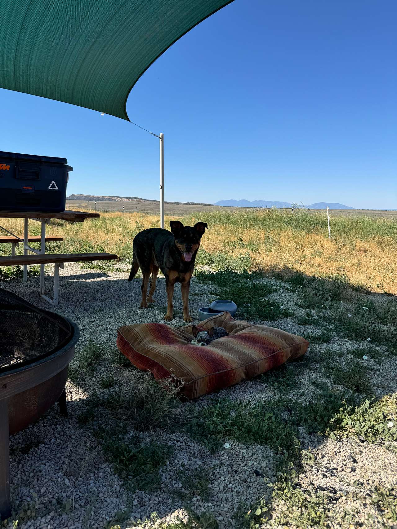 South-40@LaSal Tent and RV Park