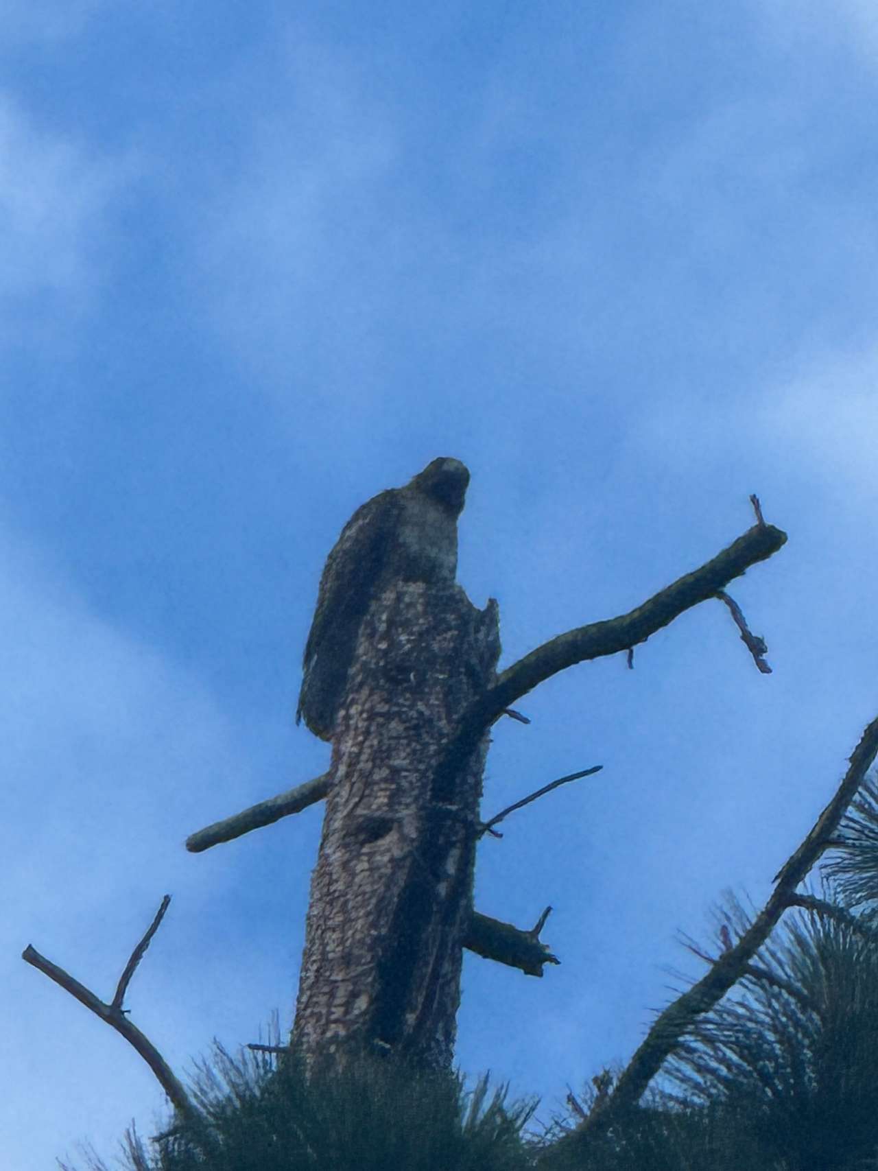 Hawk And Fox Ranch