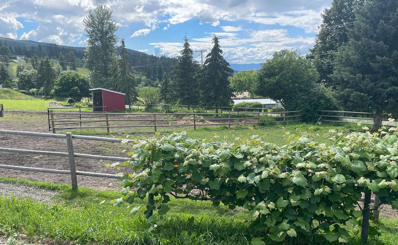 K & J Acres