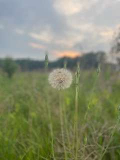 Country Camping - Relax & Recharge