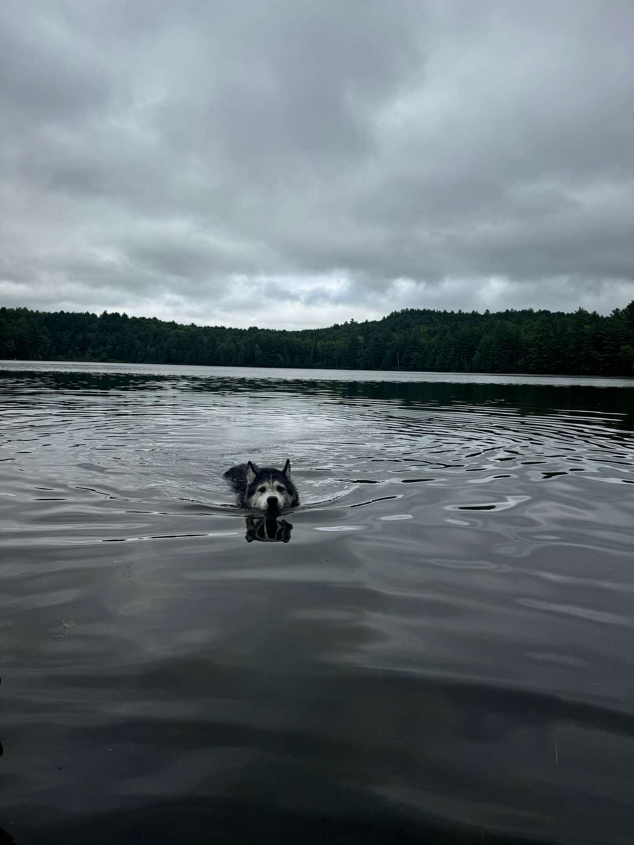 Lakeside Bunkie - 35min to Alg.Park