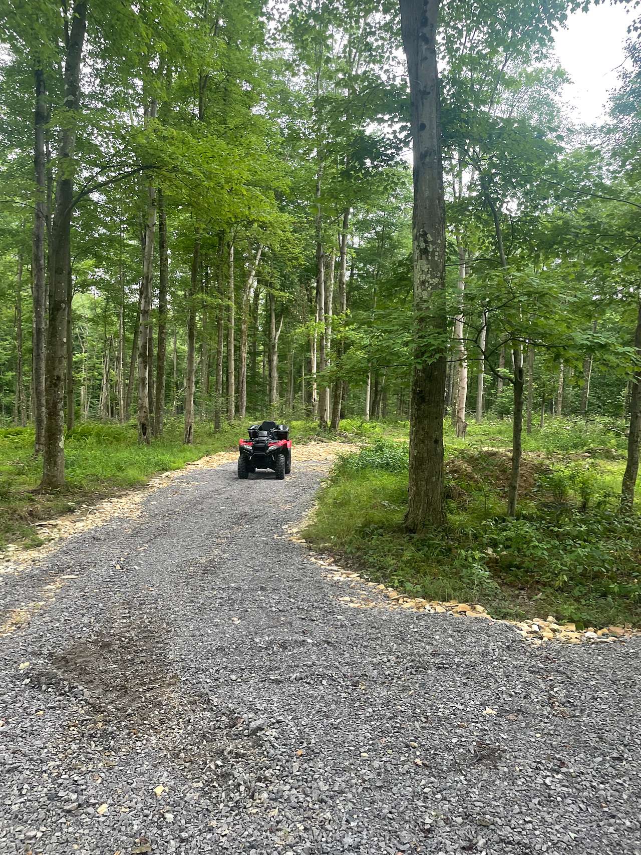Presidential Primitive Getaway