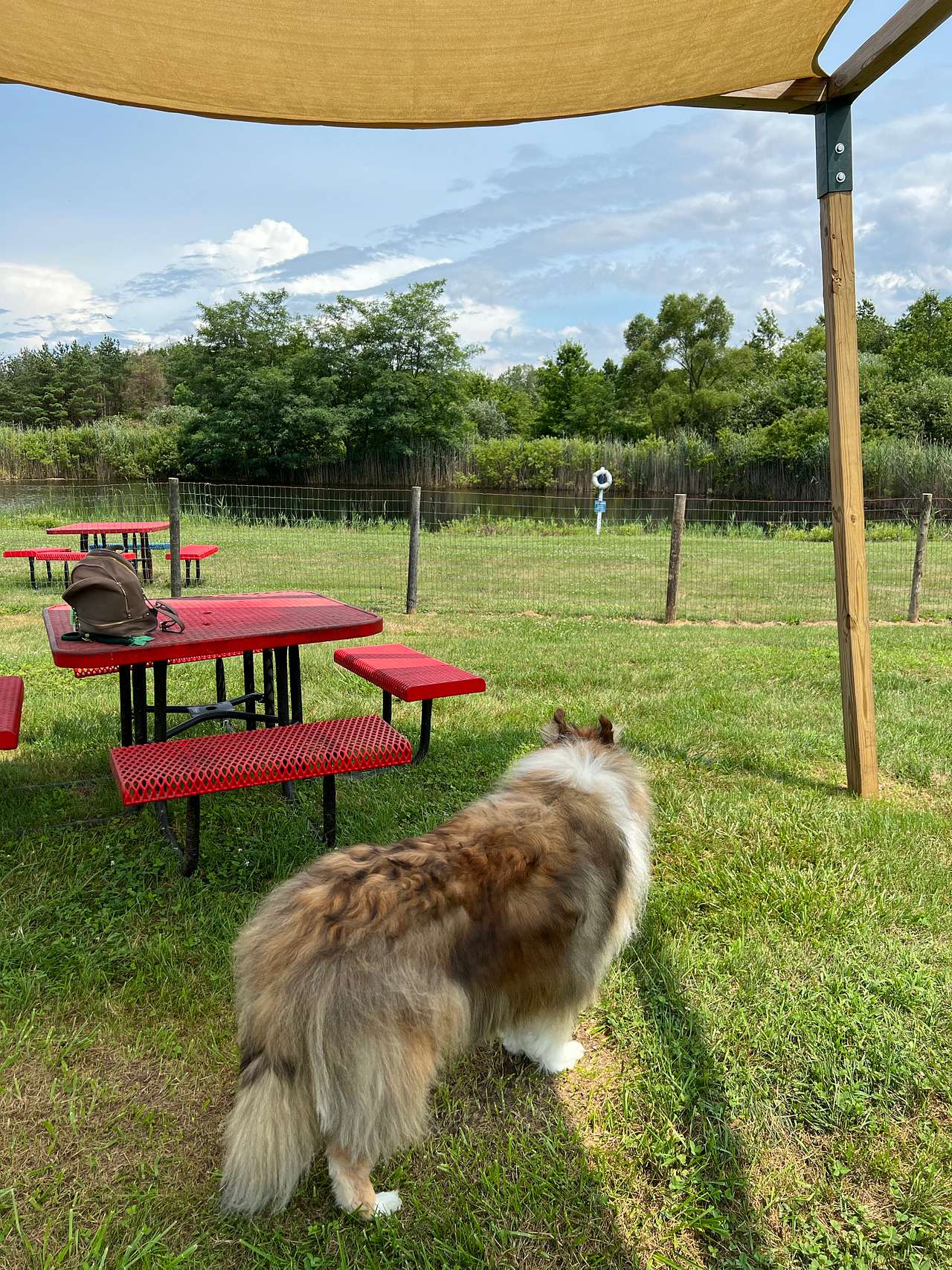 Camping in Wine Country