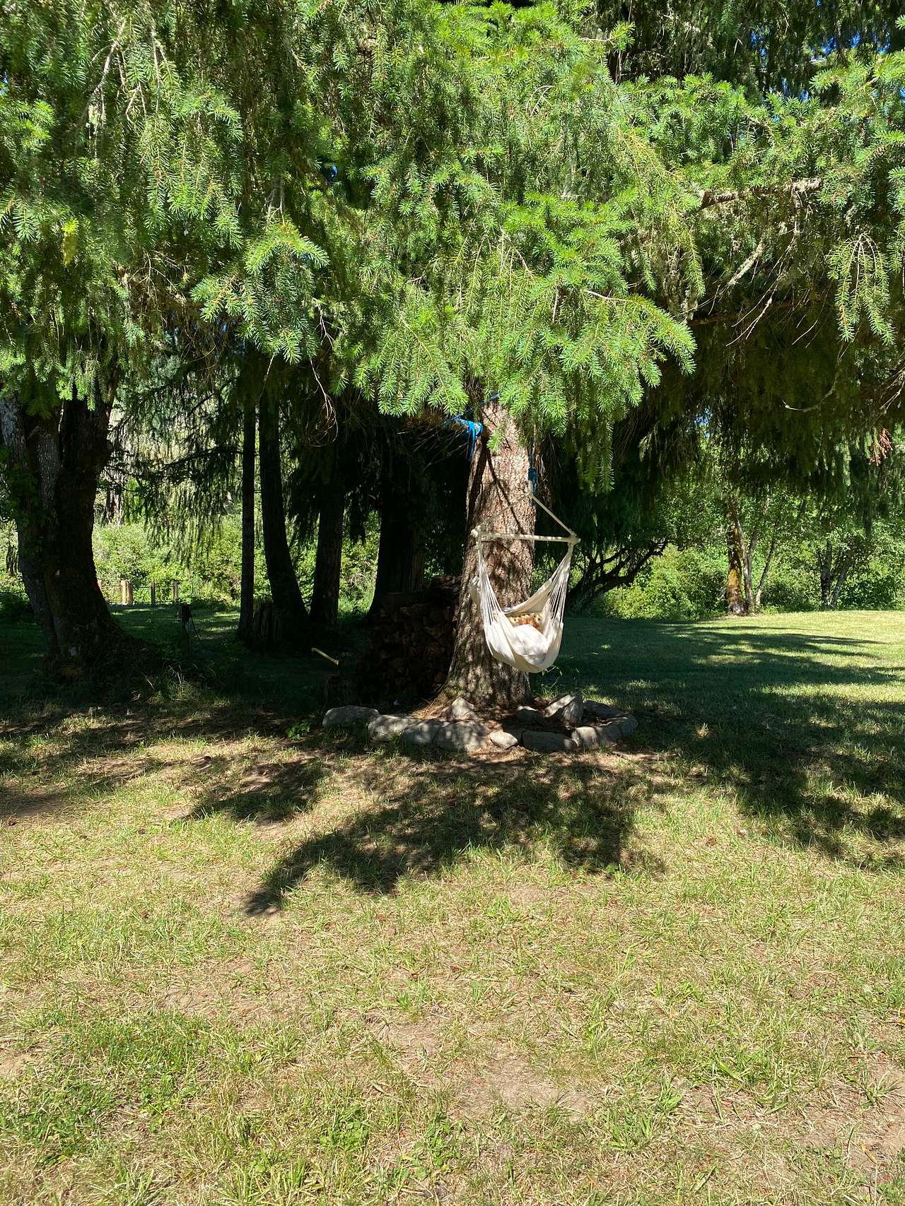 Wild Roots River Oasis