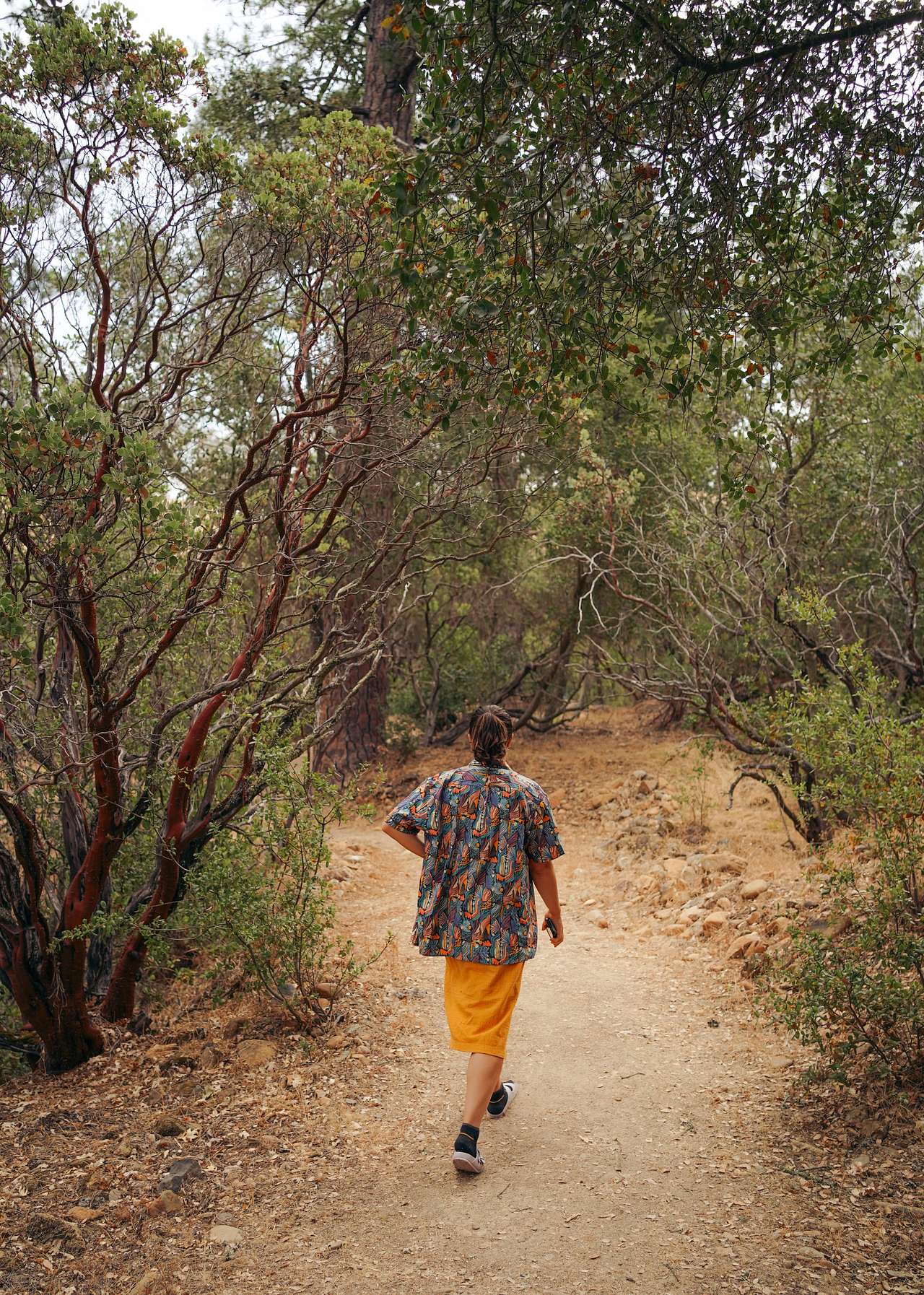 Trail to site 5