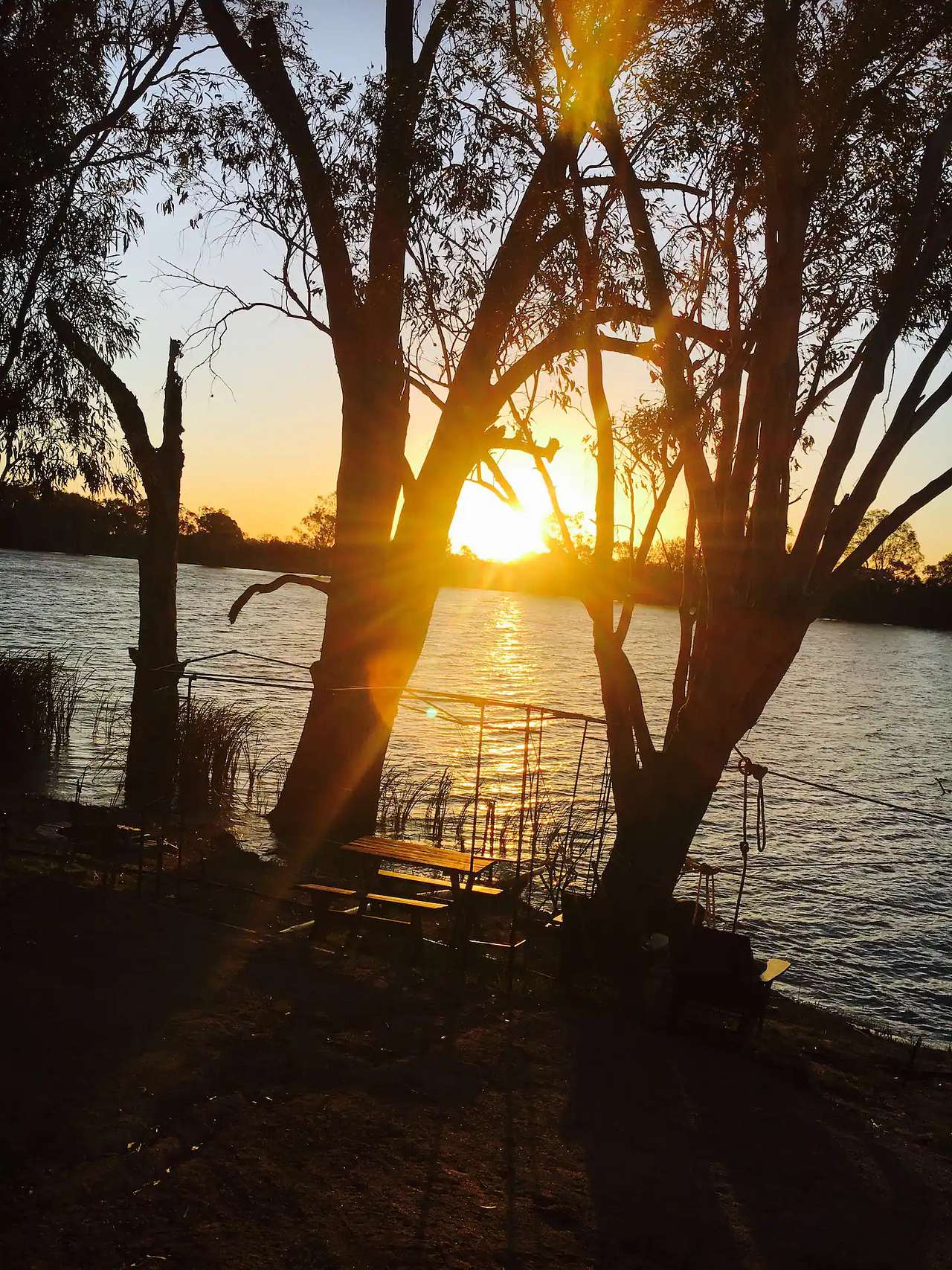 Paringa Pet Friendly Farmstay