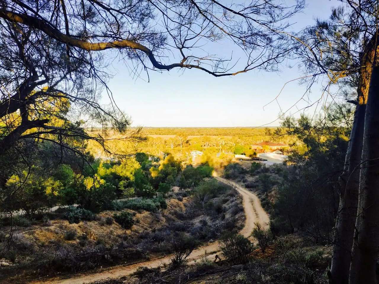 Paringa Pet Friendly Farmstay