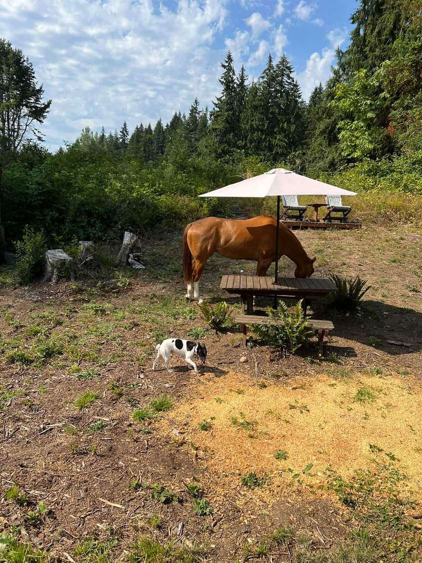 Annie's Acres 333
