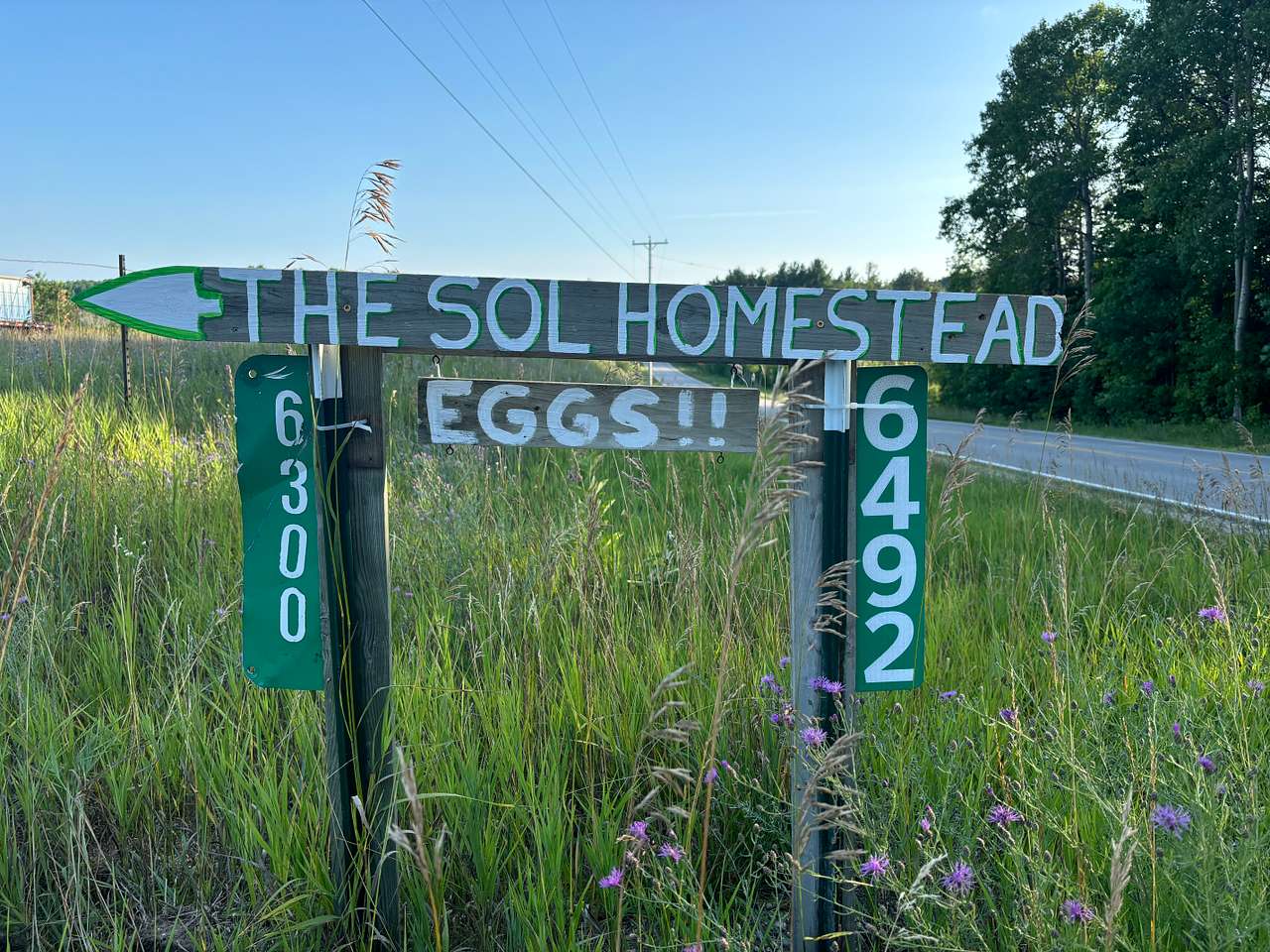 The SOL Homestead