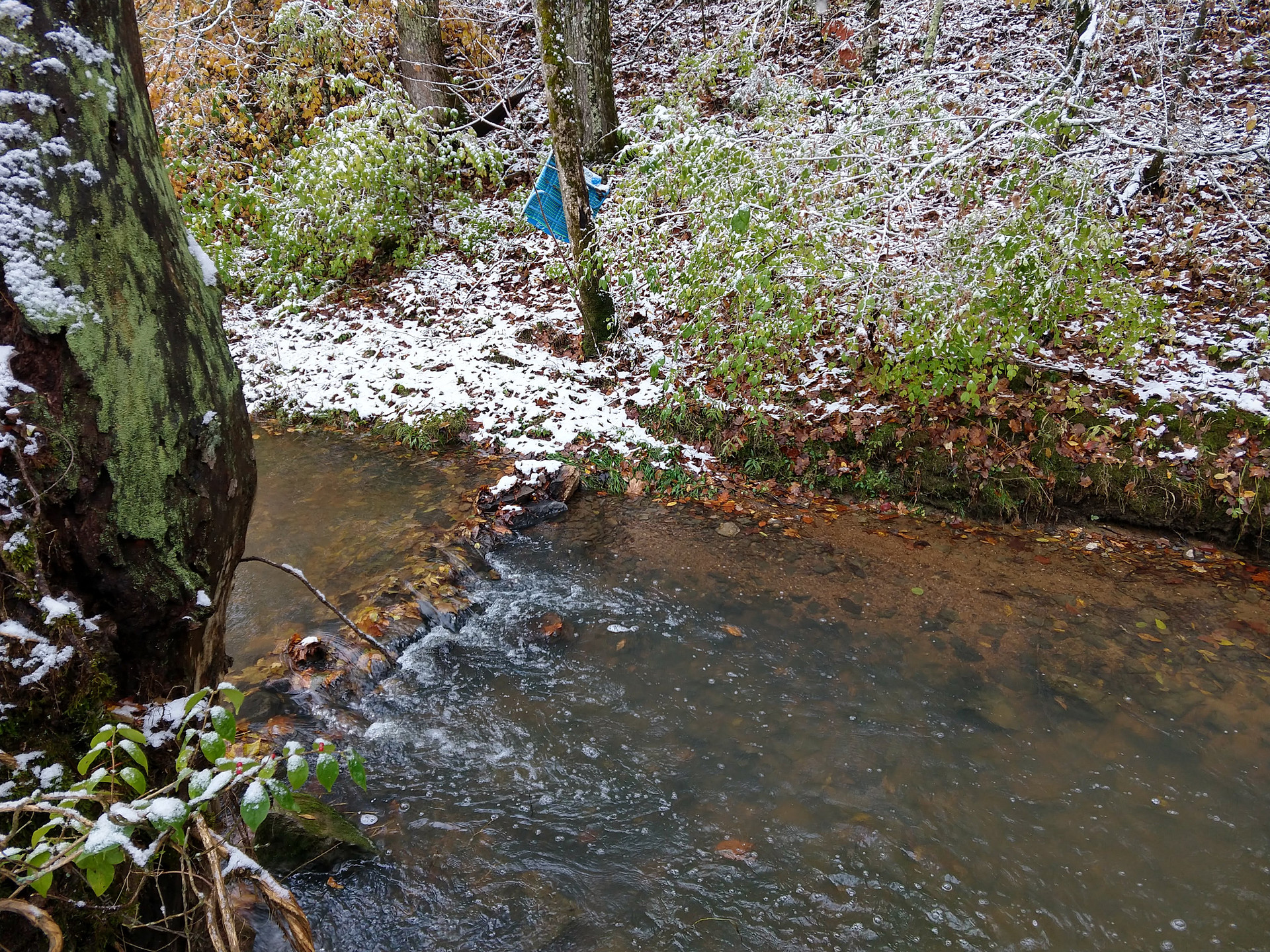 Creekside primitive tent camp site