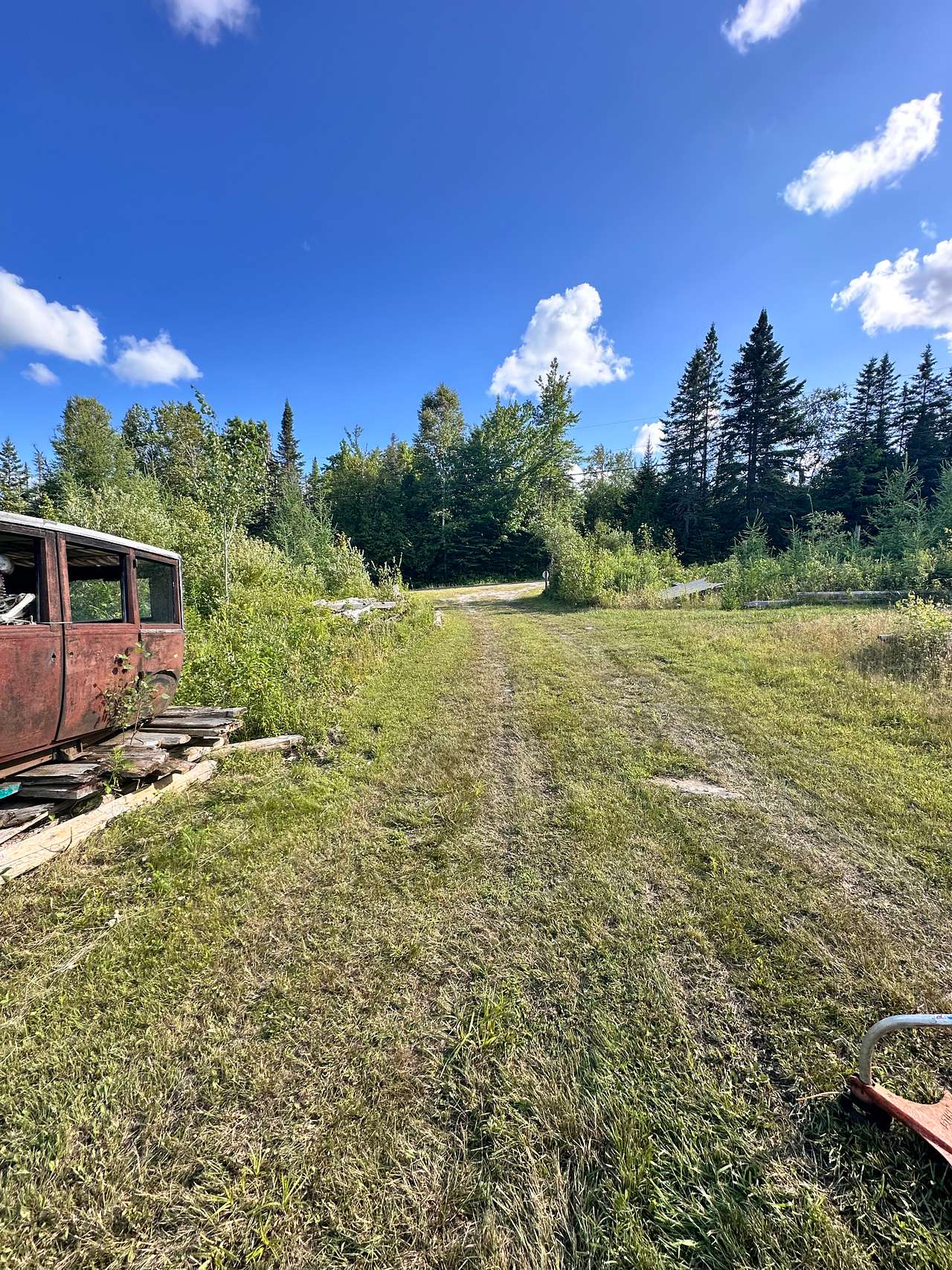 The view from the camp driveway looking out to the road. 