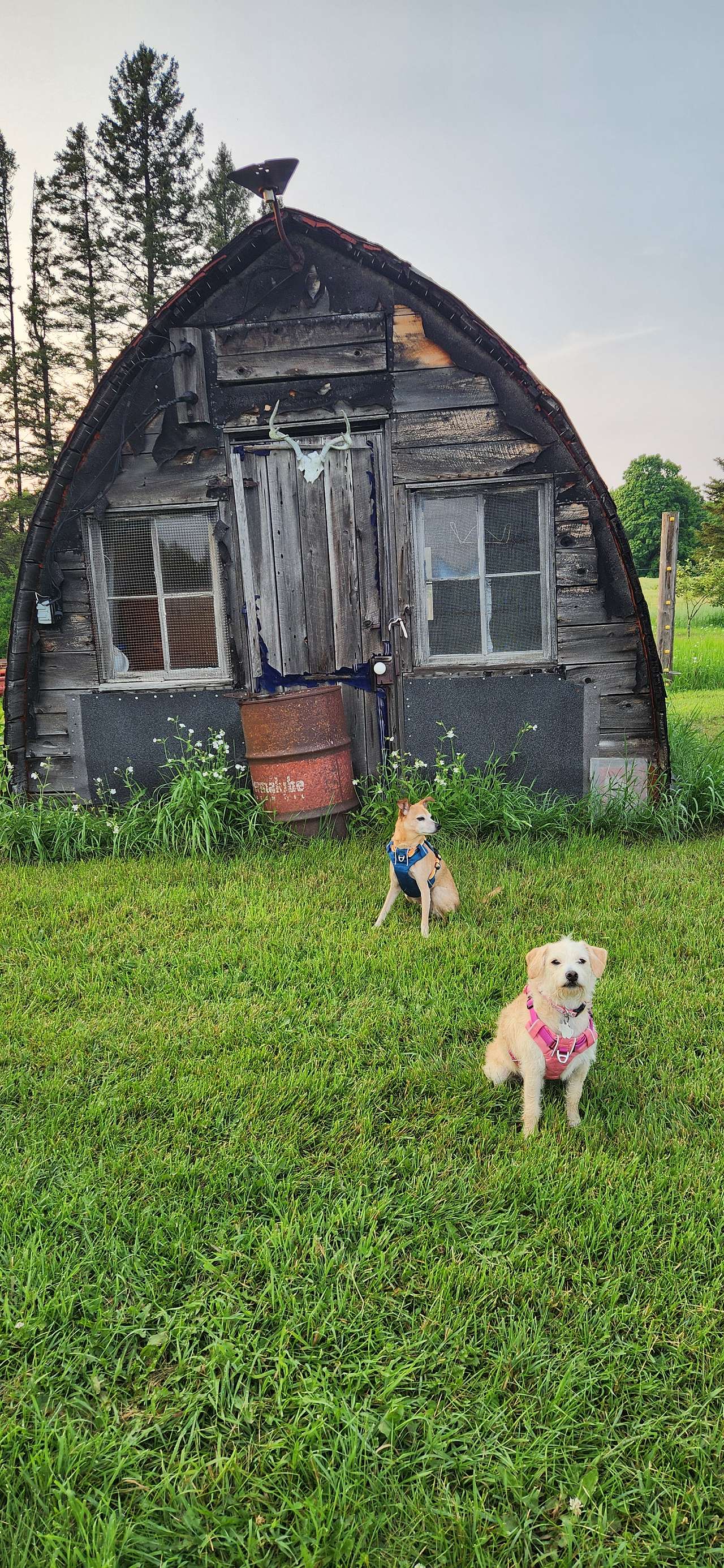 Maple Creek Farm
