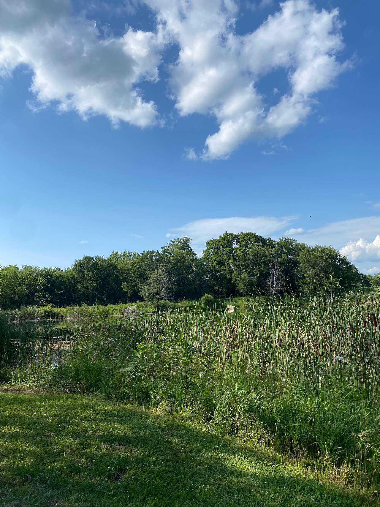 Frakers Grove Farm