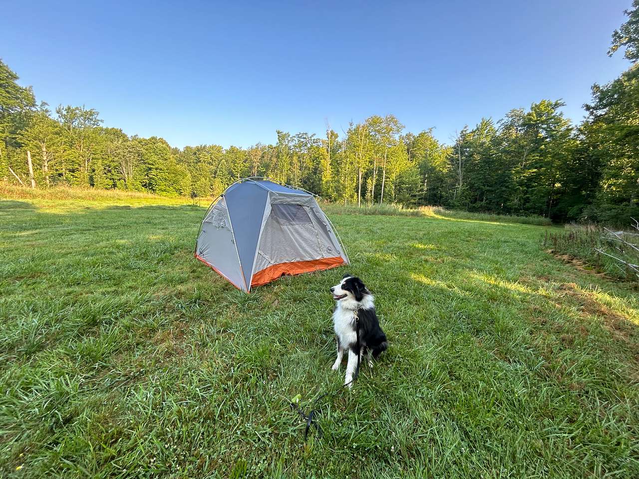 Fish Camp