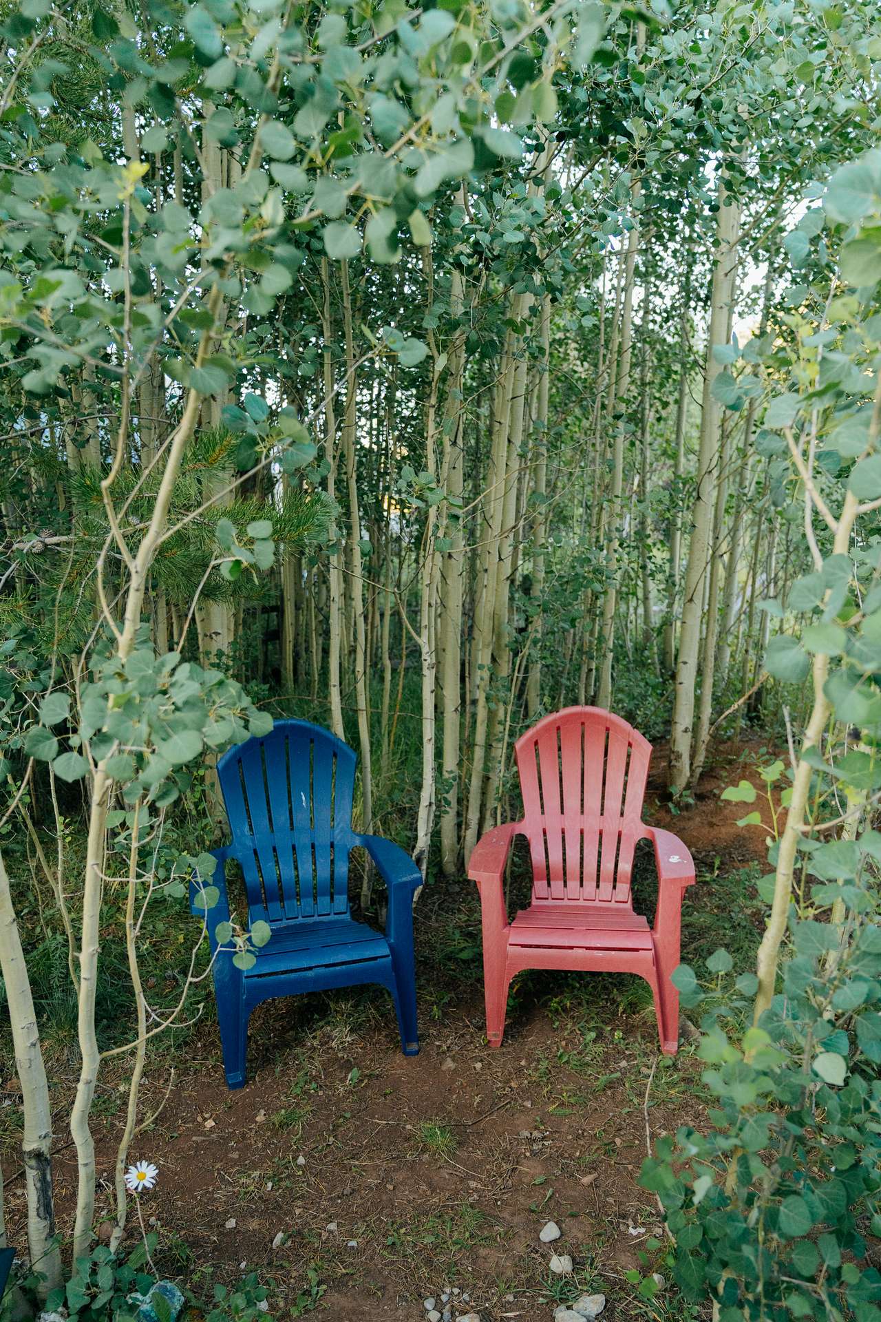 The Aspen Camp