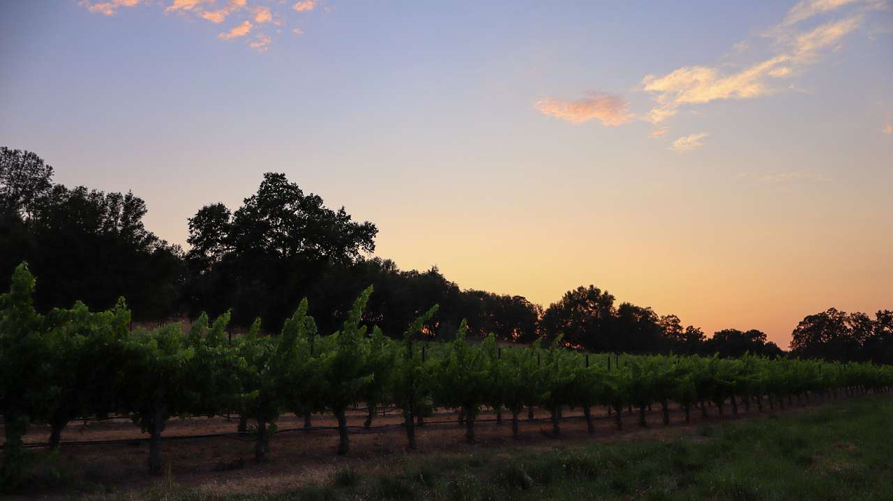 Prospect 772 Winery & Event Center