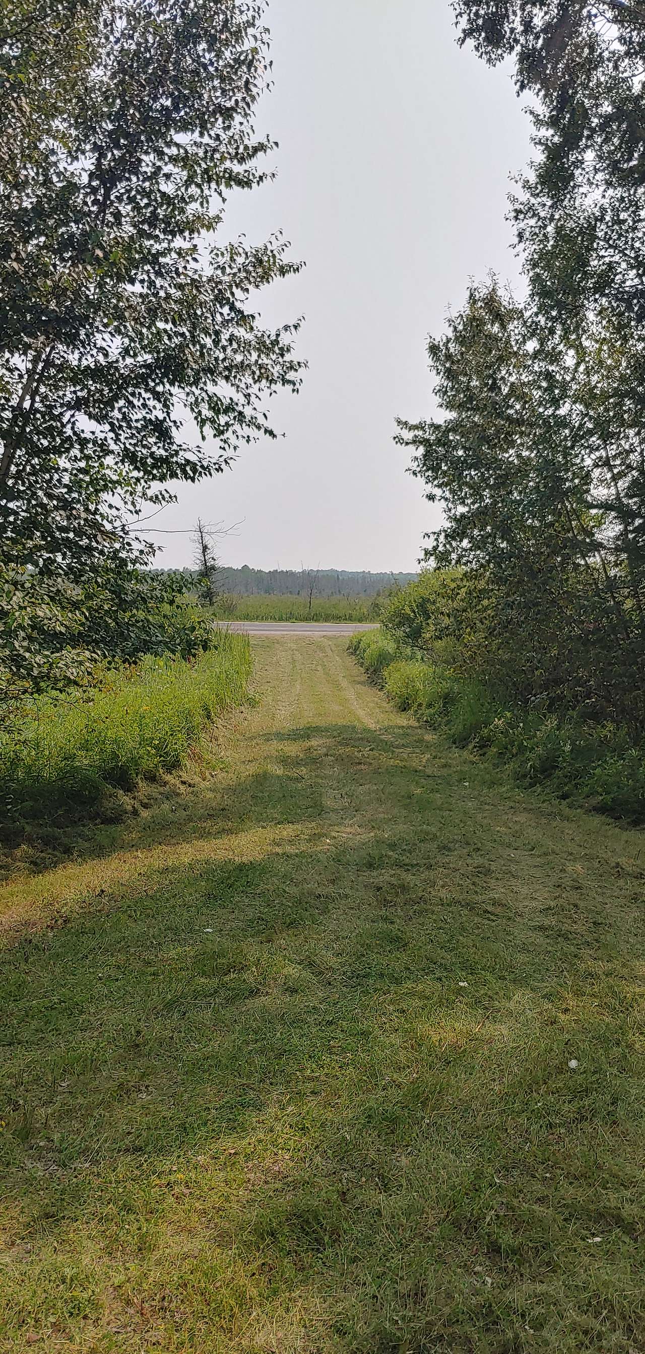 Crandall View