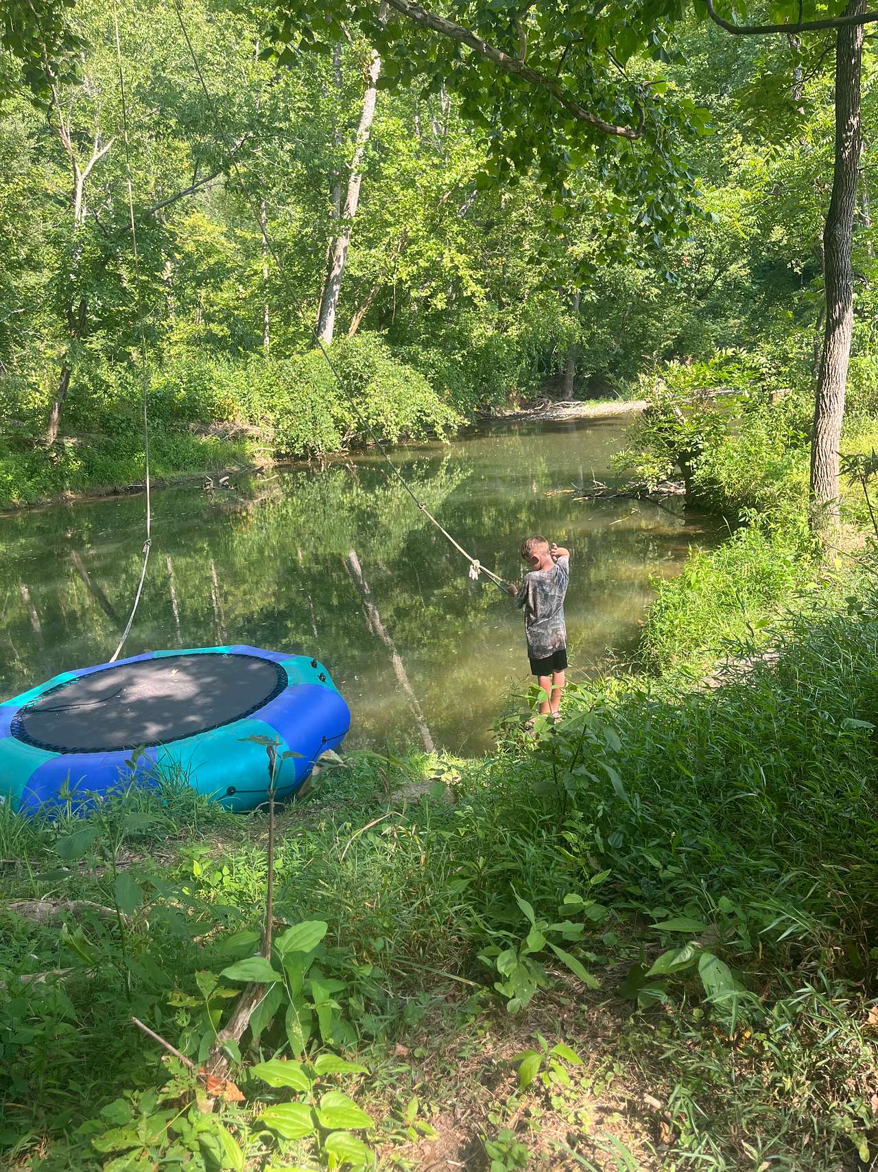 Mountain streams and wildlife