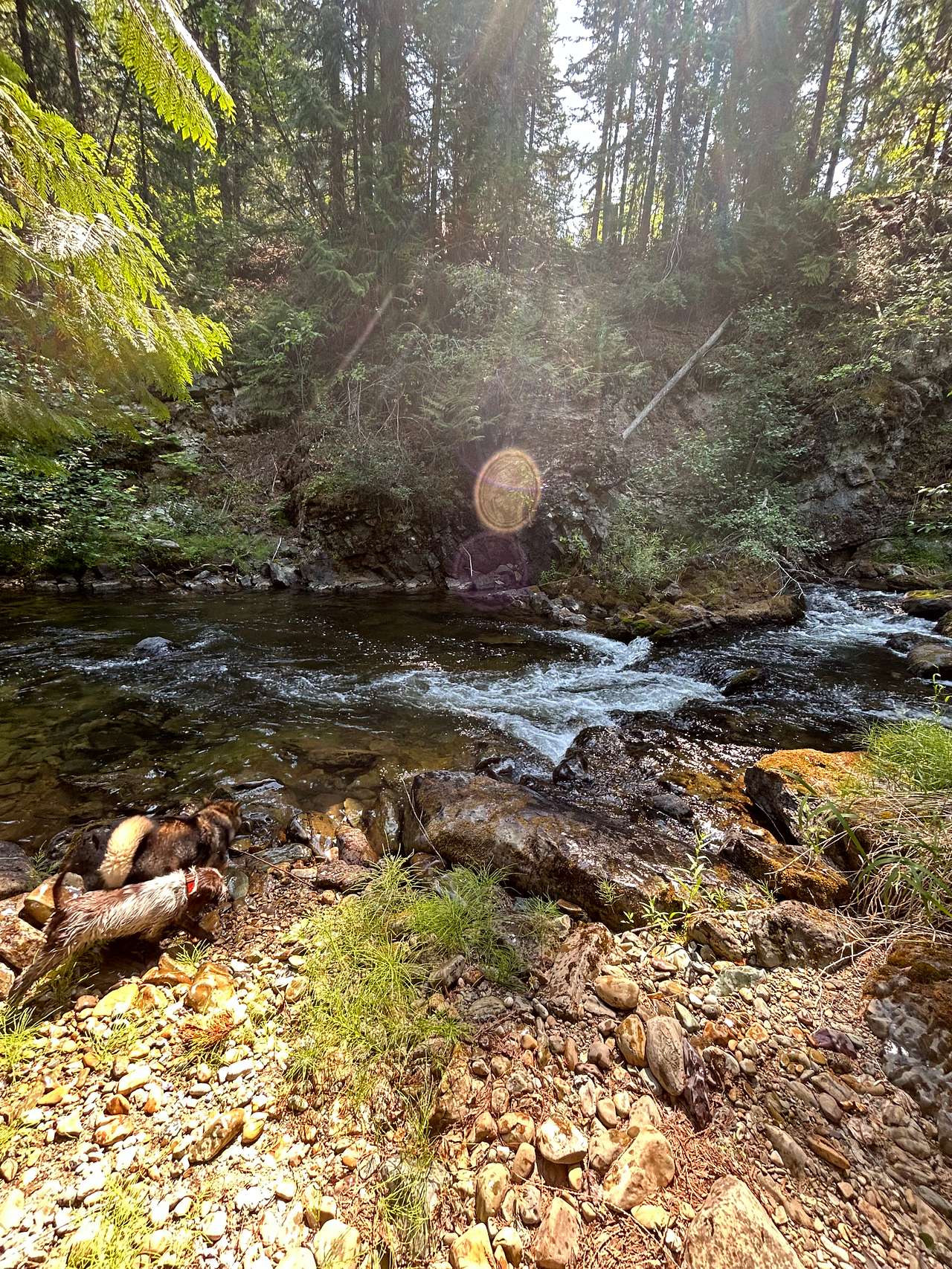Good Creek Meadows