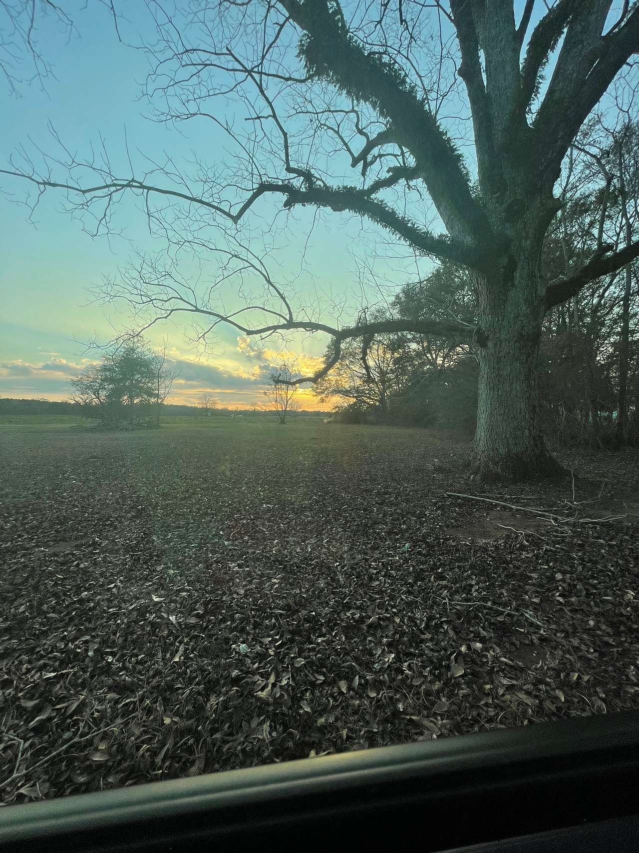 Blissful farm side.