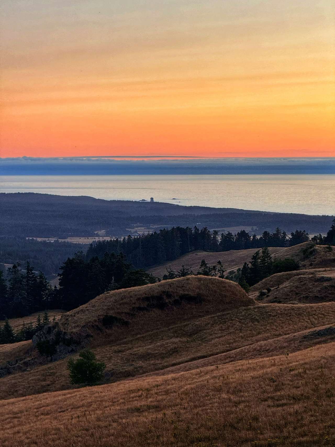 Pacific Pastures