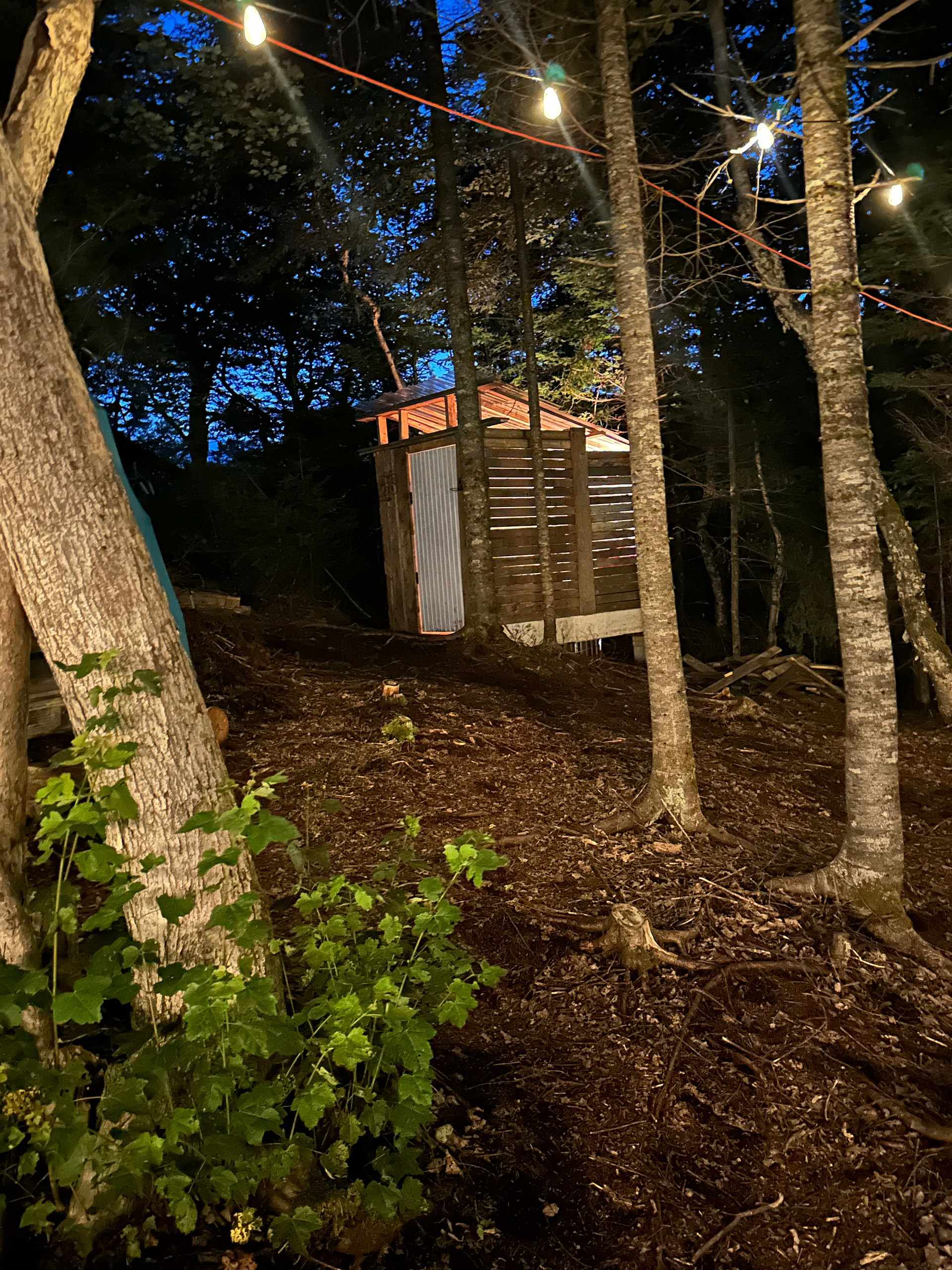 Urban Forest Getaway